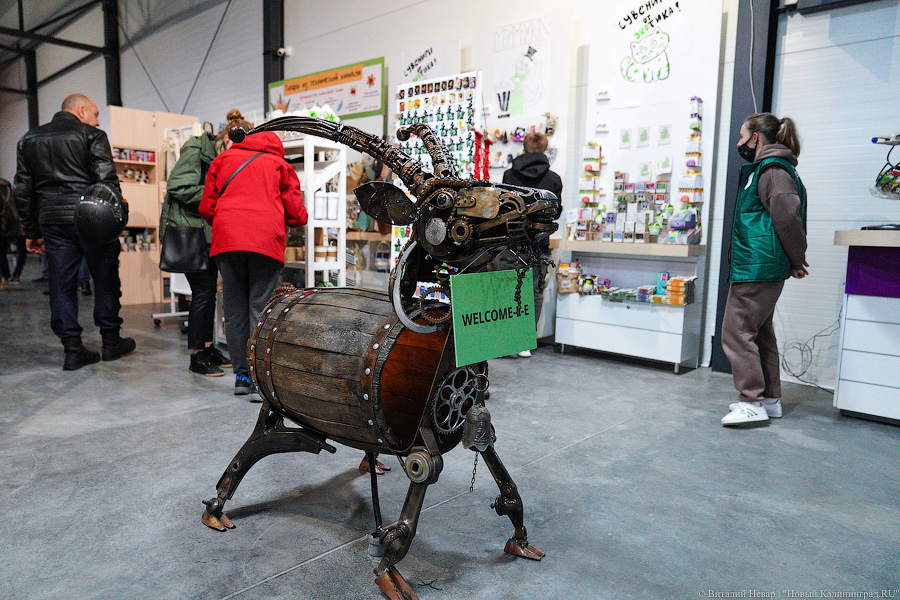 Ничего невозможного: под Калининградом открылся Музей мусора (фото)