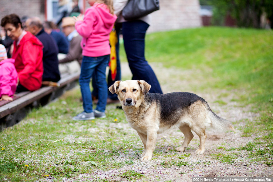 Квинтэссенция русскости: Международный фестиваль культур в Варминско-Мазурском воеводстве