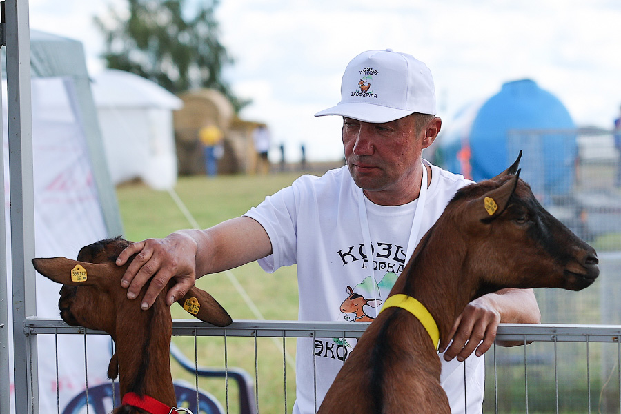Ржится рожь, овёс овсится: в Калининградской области проходит Всероссийский день поля (фото)