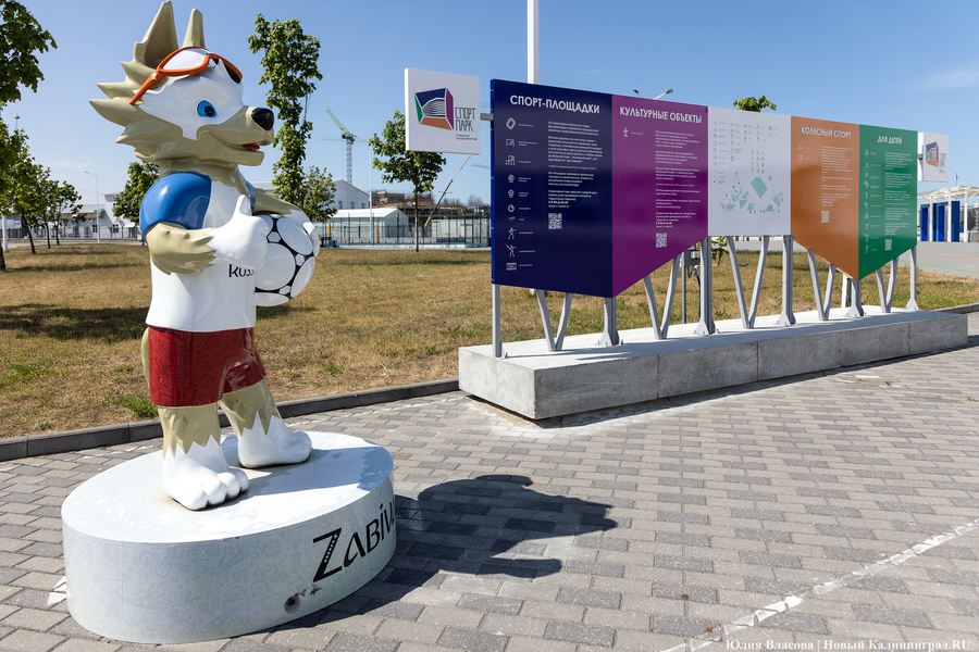 Госденьги должны уходить: директор стадиона «Калининград» о новом спонсоре и несбывшемся Rammstein