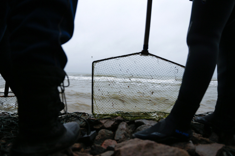 В набежавшую волну: как ловят янтарь на Балтике (фото)