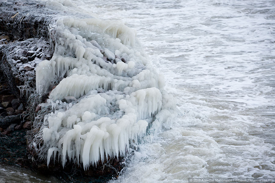 Президенция Деда Мороза: набережная в Пионерском после шторма (фото)