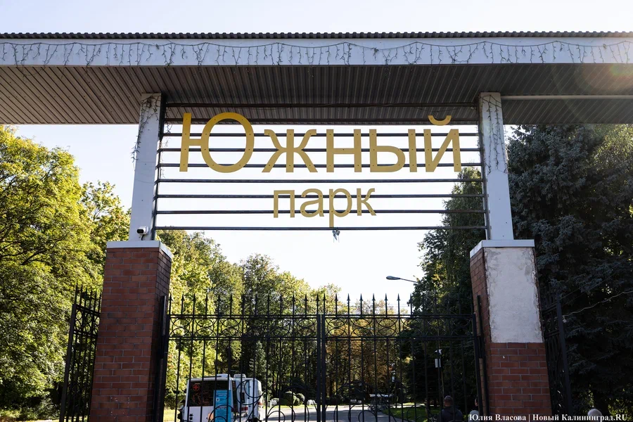 Парк Южный приглашает калининградцев присоединиться к акции «10 000 шагов»