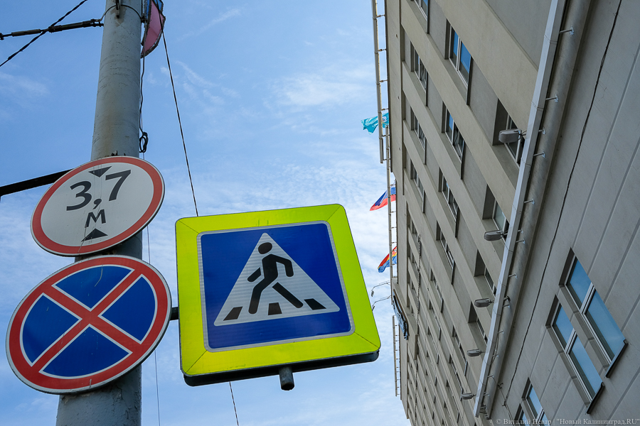 В Калининграде узаконили рекламу на опорах освещения