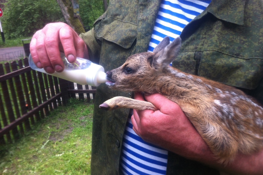 Фото предоставлено пресс-службой нацпарка