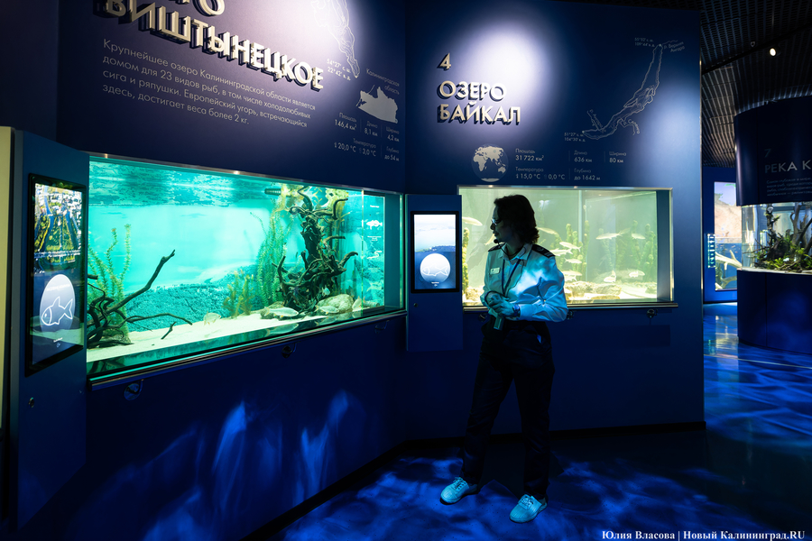 Музей-корабль, музей-планета: экскурсия по корпусу-шару «Планета Океан»