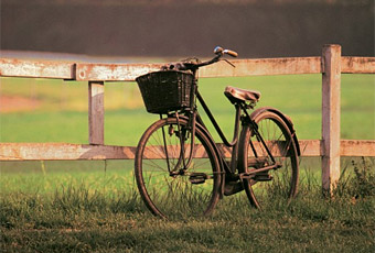 Кожаный салон и объемная аудиосистема: автомобиль для земельной кадастровой палаты