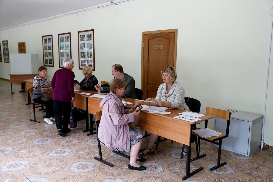 «Выбери меня!»: как проходили праймериз «Единой России» в Калининграде