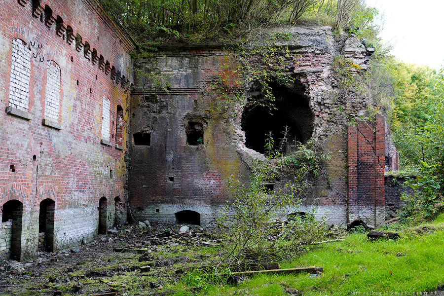 Арендатор форта №8: мы оставим его разрушенным (фото)