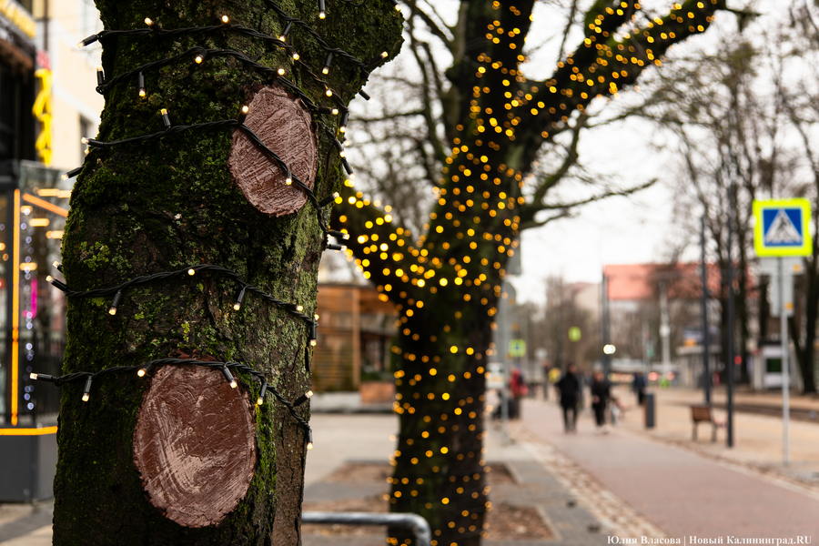 50 оттенков коричневого: как выглядит после ремонта Фестивальная аллея (фото)