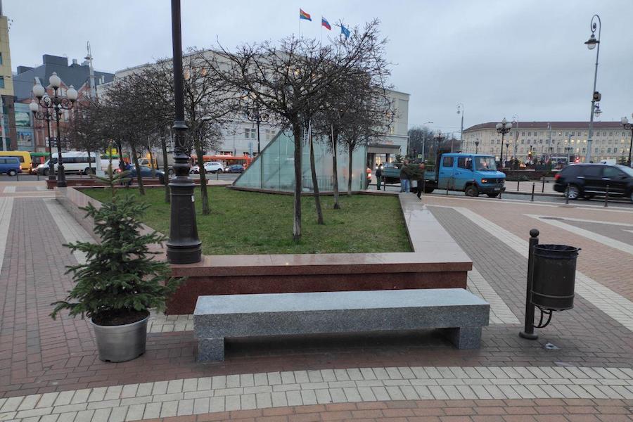 Установленные к Новому году ёлки в кадках высаживают на Нижнем и Летнем озёрах