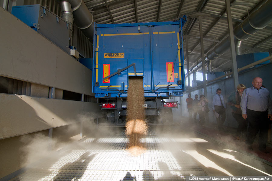 «Я все пью, а мне все хуже»: как Краснознаменск встретил Николая Цуканова