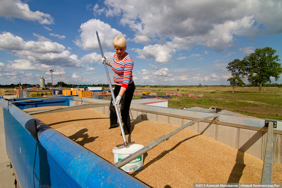 «Я все пью, а мне все хуже»: как Краснознаменск встретил Николая Цуканова