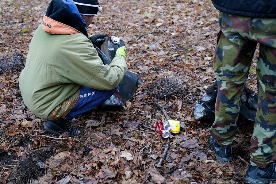 Теория целых окон: волонтеры пытаются спасти здание на Расковой с помощью уборки (фото)