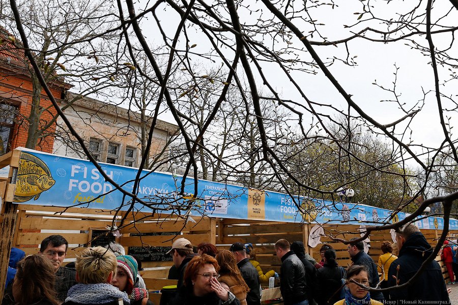 Три рыбных дня было у меня: как прошел рыбный фестиваль в Зеленоградске