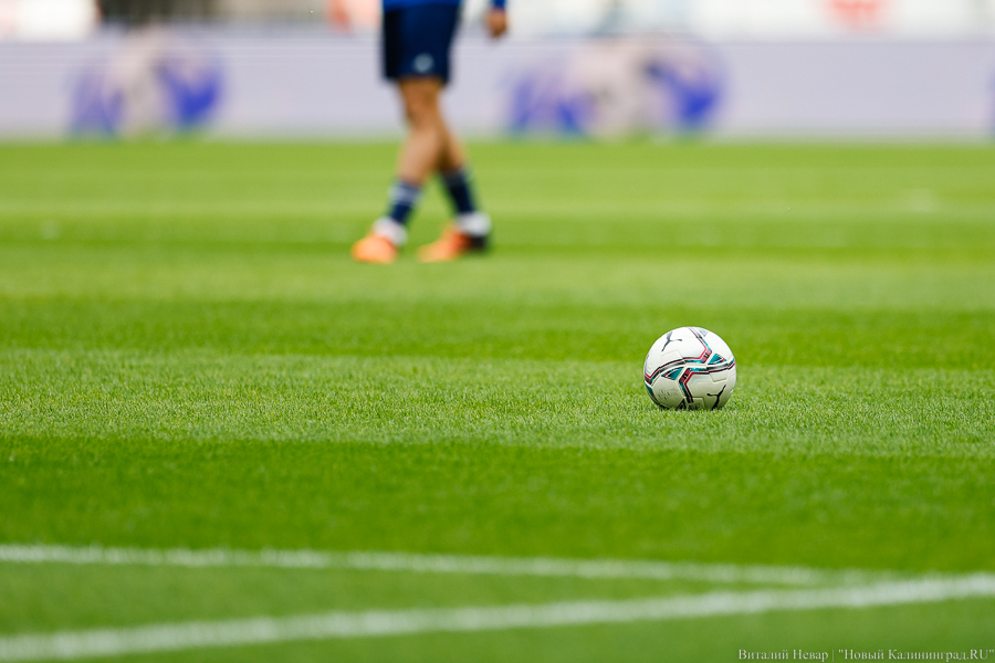 Фото: Виталий Невар / Новый Калининград