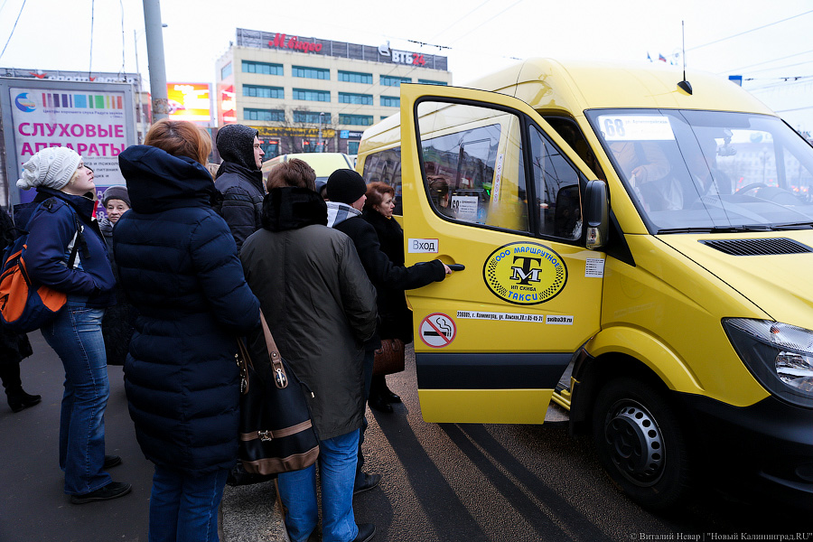 Жертвы транспортной войны: как калининградцы на работу добирались (фото)