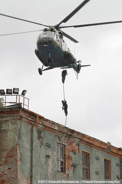 «Под флагом Башара»: фоторепортаж с антитеррористических учений