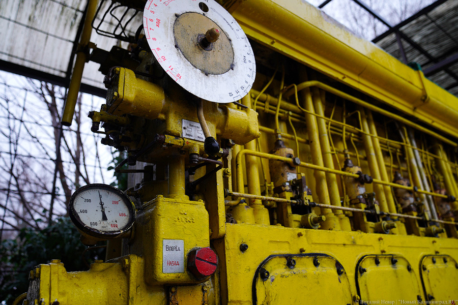 25 экваторов: двигатель «Крузенштерна» стал экспонатом Музея Мирового океана (фото)