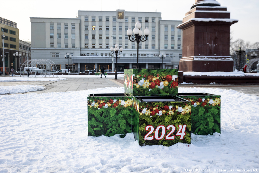 Символ без праздника: на площади Победы установили главную городскую ёлку (фото)