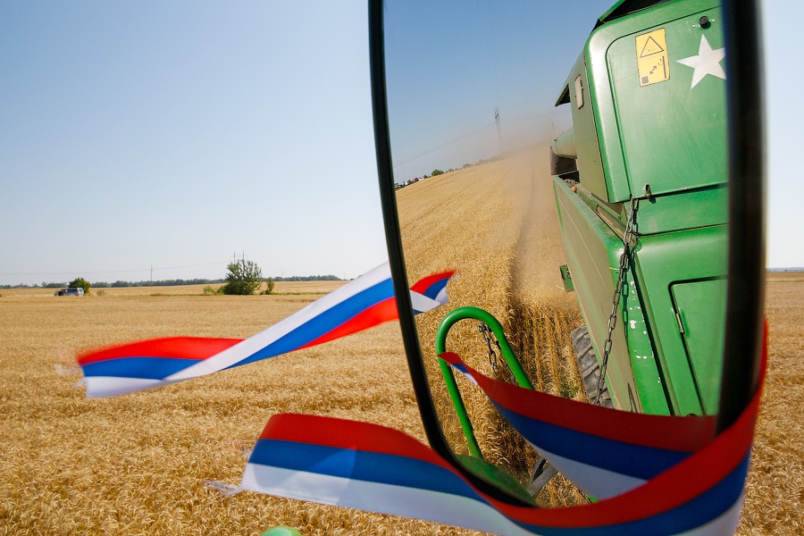 В России ожидается рекордный урожай зерна в 2017 году