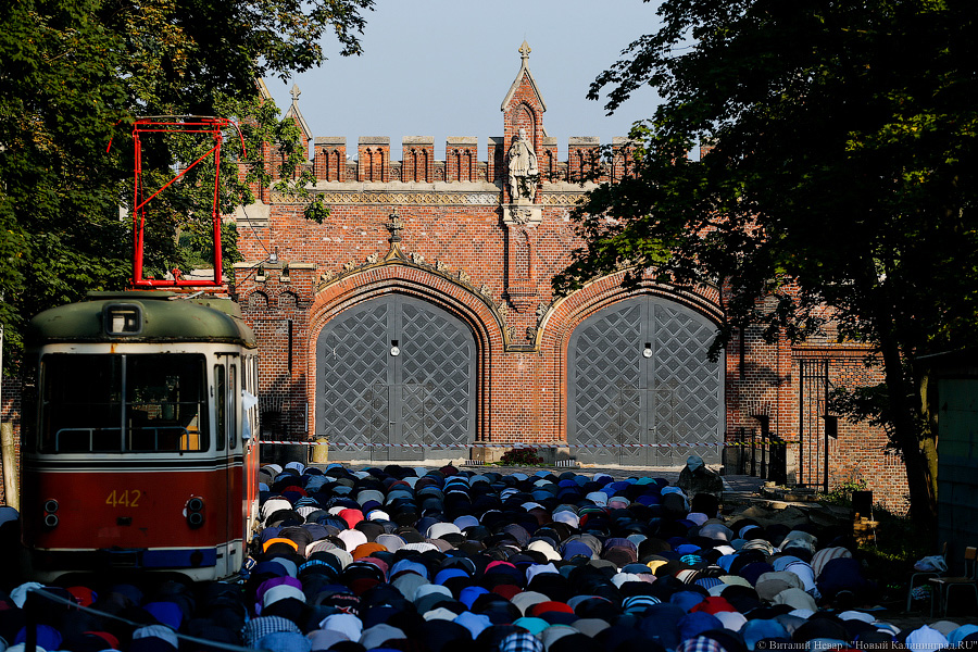 Традиционная жертва: как в Калининграде Курбан-байрам отмечать начали