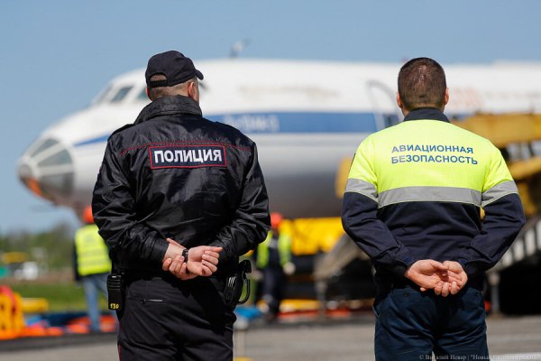 Петербуржцу, прилетевшему пьяным в Калининград, грозит до 15 суток ареста