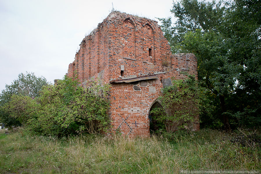 Исчезая в зелени: руины кирхи XIV века в поселке Яблоневка Гурьевского района