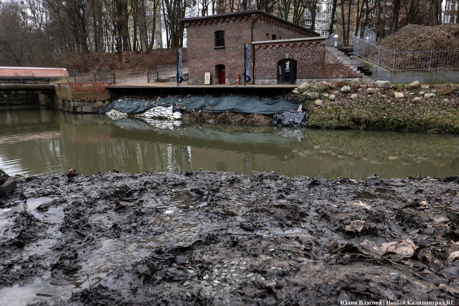 Непролазная грязь: как выглядит берег Литовского ручья в ожидании реновации (фото)