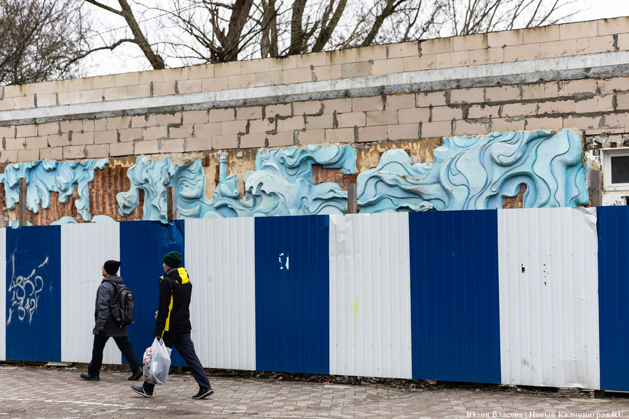 Фото: Юлия Власова / Новый Калининград