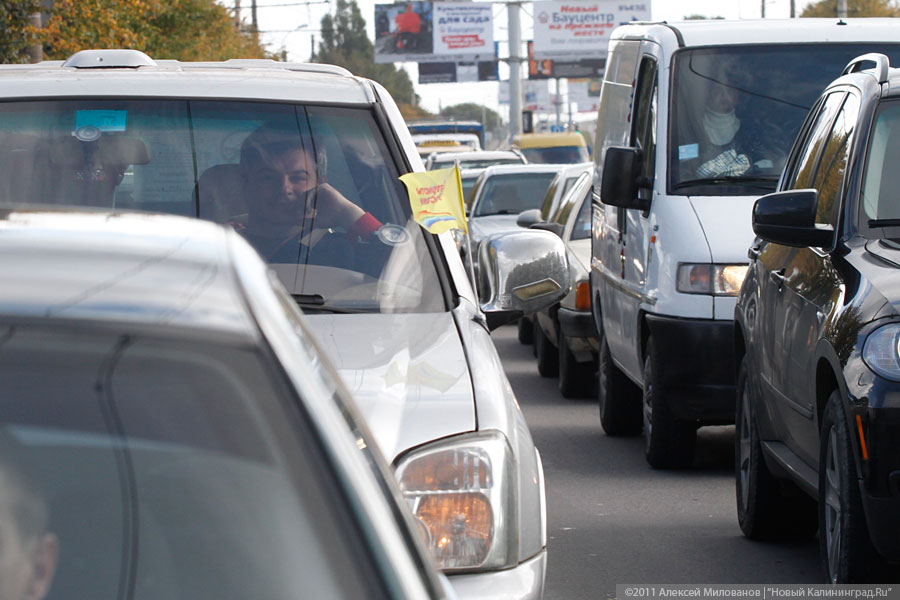 "Автопробегом по ценообразованию": фоторепортаж "Нового Калининграда.Ru"