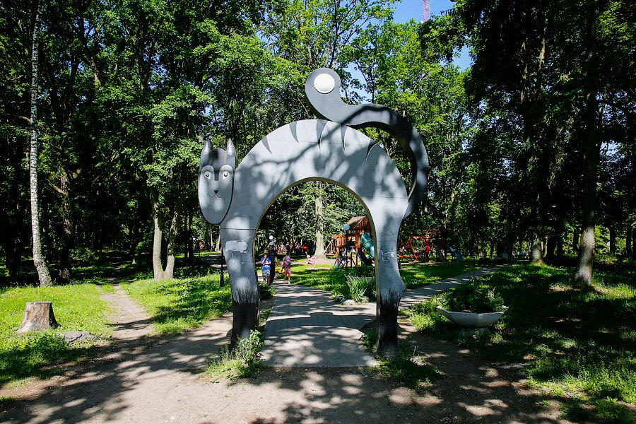 Самый маленький город: одноэтажный Ладушкин