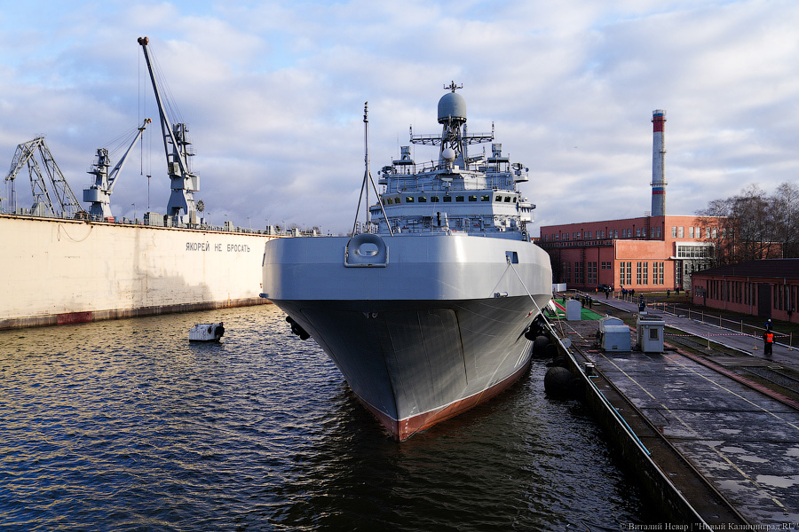 «Экипаж готов»: завод «Янтарь» передал ВМФ корабль «Пётр Моргунов»