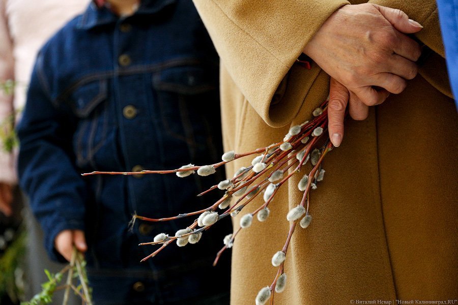 «Цветики да вербочки»: как прошло богослужение в Вербное воскресенье (фото)