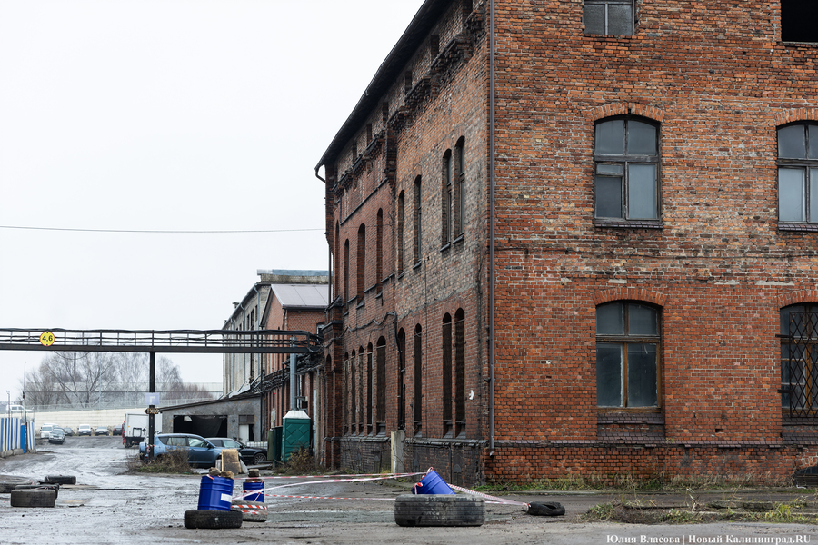 Постапокалиптический пейзаж: что происходит с территорией бывшего ЦБЗ-1 (фото)