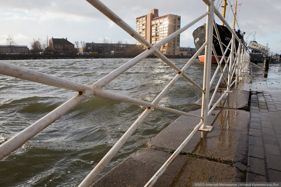Летающий цирк: последствия урагана в Калининграде (фото)