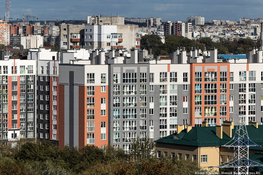 Фото: Юлия Власова / «Новый Калининград»
