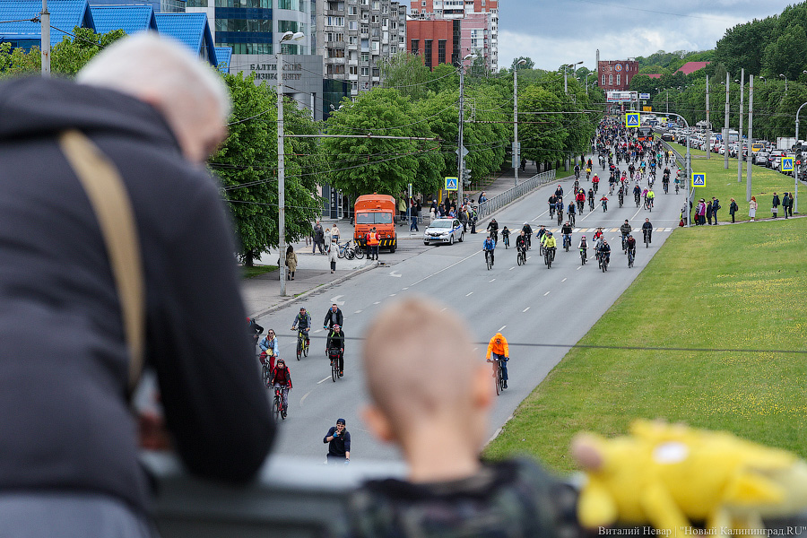 Лыжи, велики, унициклы: как прошёл велопарад в Калининграде (фото)