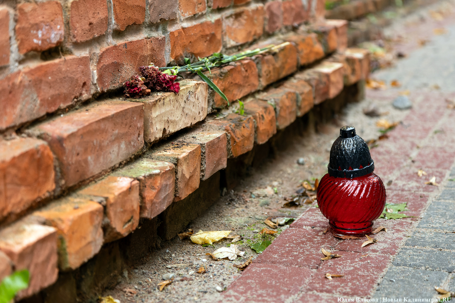В Калининграде начали благоустраивать старое еврейское кладбище (фото)