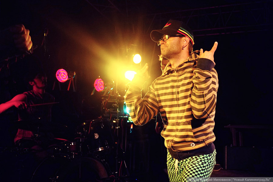 "Насекомая страна": фоторепортаж "Афиши Нового Калининграда.Ru"
