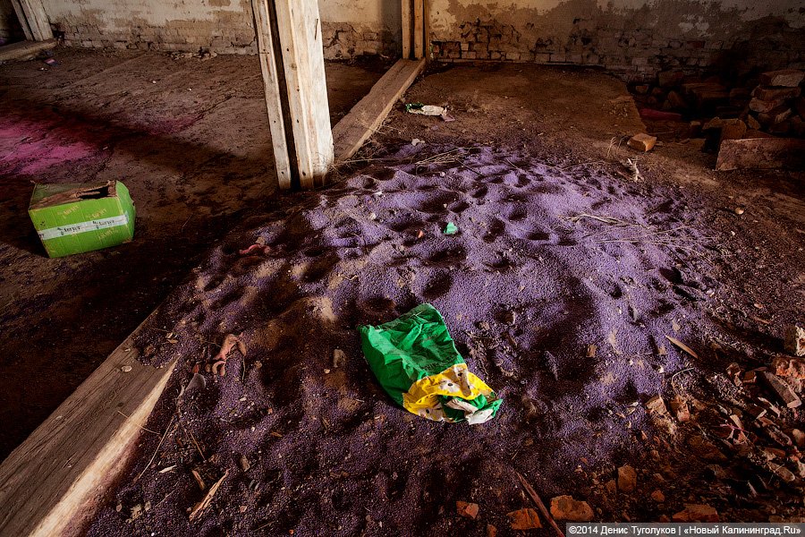 Нам на небо: кирха, построенная по инициативе прусского короля, превратилась в склад химикатов