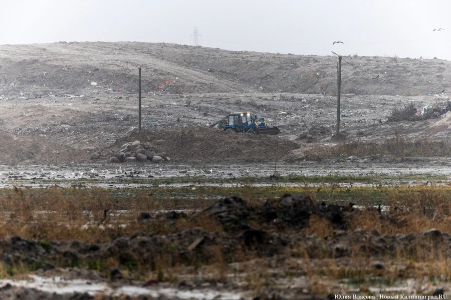 На проект реконструкции площадки для отходов под Барсуковкой выделяют 72 млн