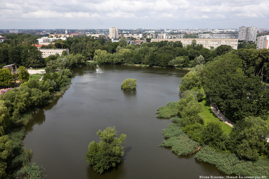 Озеро Летнее. Фото: Юлия Власова / «Новый Калининград»