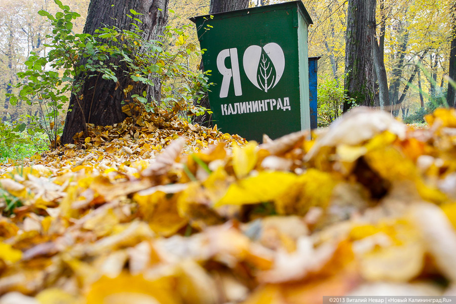 Днём совсем не страшно: осенний Балтийский парк