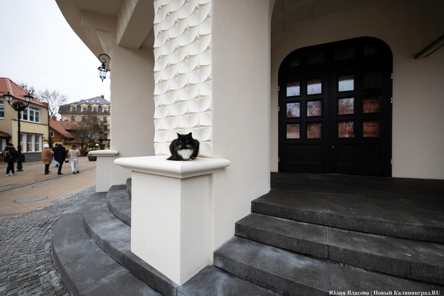 В центре Зеленоградска восстановили историческое здание «Дома звёздного неба» (фото)