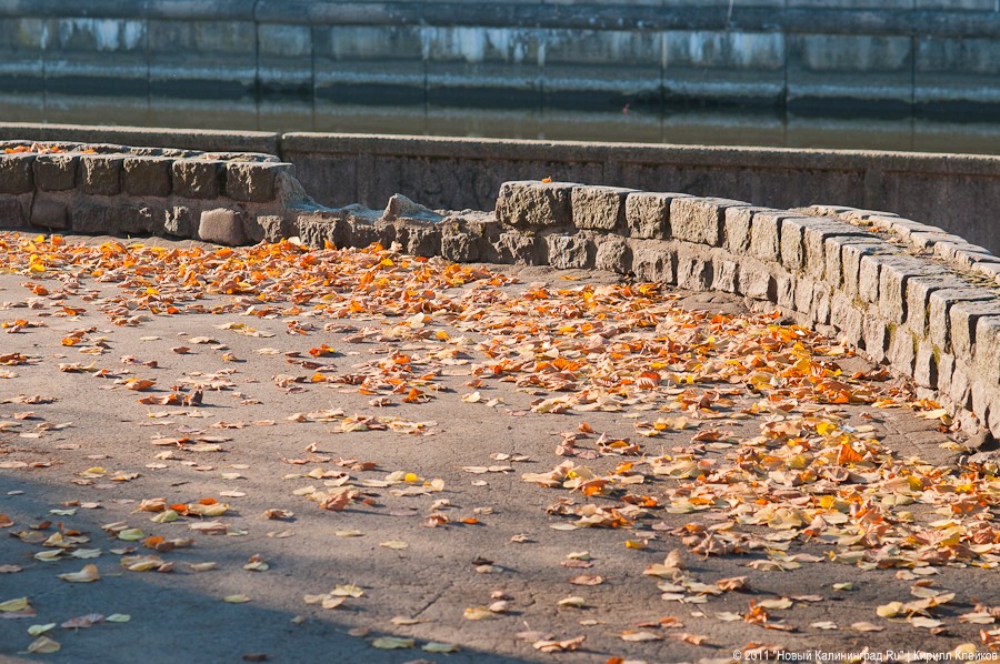 "11.11.11": фоторепортаж "Нового Калининграда.Ru"