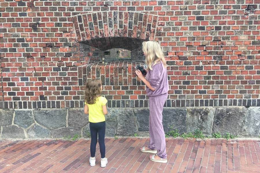 В Калининграде появились два новых хомлина (фото)