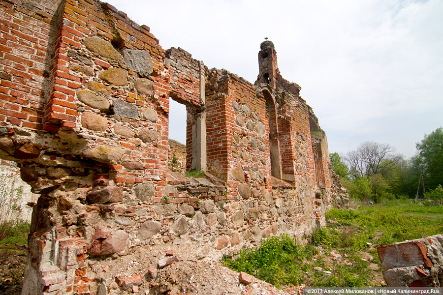 «А денег нет»: в переданной РПЦ кирхе 14-го века в Храброво валяются человеческие кости