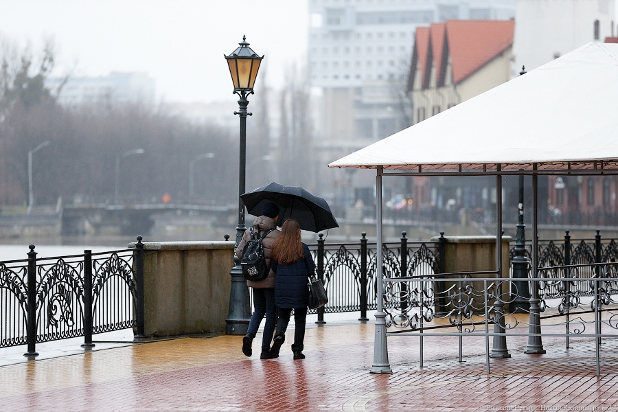В Калининградской области ожидается дождливая и прохладная неделя