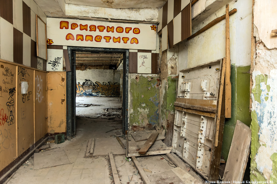 Государство в государстве: как ищут инвестора для бывшей лечебницы Алленберг (фото)